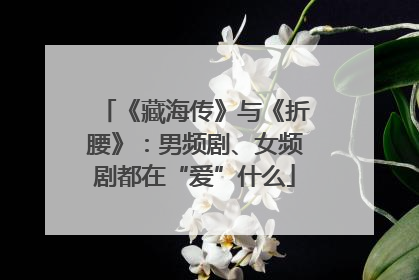 《藏海传》与《折腰》：男频剧、女频剧都在“爱”什么