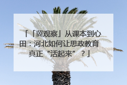 「冀观察」从课本到心田：河北如何让思政教育真正“活起来”？