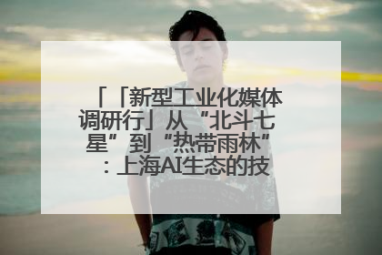 「新型工业化媒体调研行」从“北斗七星”到“热带雨林”：上海AI生态的技术商业共生密码