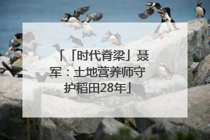 「时代脊梁」聂军：土地营养师守护稻田28年