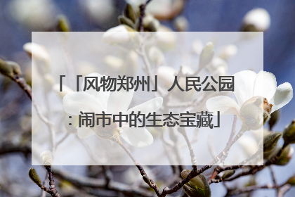 「风物郑州」人民公园：闹市中的生态宝藏