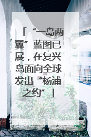 “一岛两翼”蓝图已展，在复兴岛面向全球发出“杨浦之约”