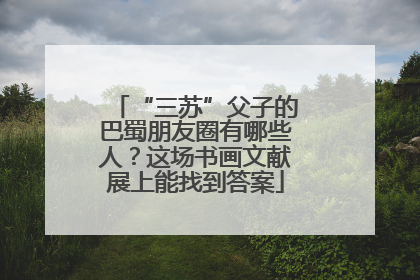 “三苏”父子的巴蜀朋友圈有哪些人？这场书画文献展上能找到答案