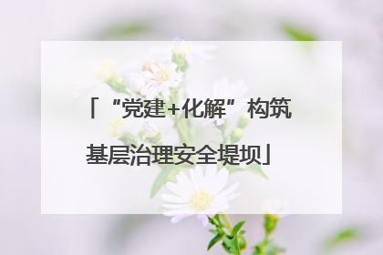 “党建+化解”构筑基层治理安全堤坝