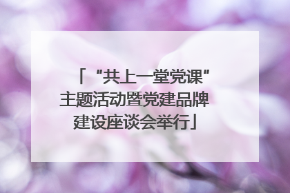 “共上一堂党课”主题活动暨党建品牌建设座谈会举行