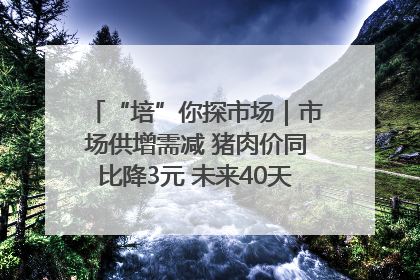 “培”你探市场｜市场供增需减 猪肉价同比降3元 未来40天便宜猪肉敞开吃