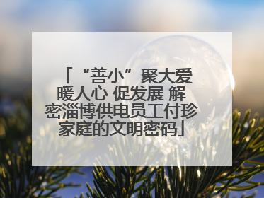 “善小”聚大爱 暖人心 促发展 解密淄博供电员工付珍家庭的文明密码