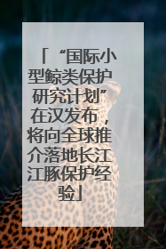 “国际小型鲸类保护研究计划”在汉发布，将向全球推介落地长江江豚保护经验