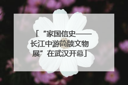 “家国信史——长江中游简牍文物展”在武汉开幕
