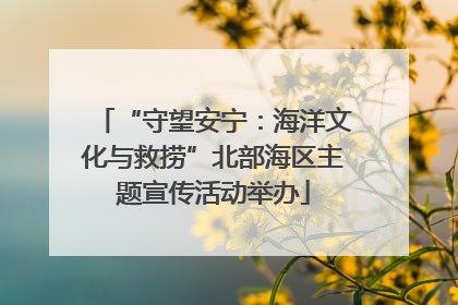 “守望安宁：海洋文化与救捞”北部海区主题宣传活动举办
