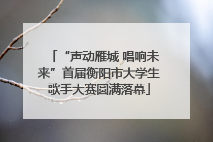 “声动雁城 唱响未来”首届衡阳市大学生歌手大赛圆满落幕