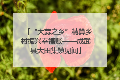 “大蒜之乡”精算乡村振兴幸福账——成武县大田集镇见闻