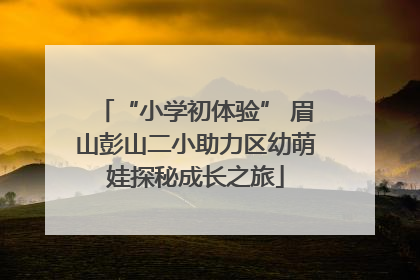 “小学初体验” 眉山彭山二小助力区幼萌娃探秘成长之旅