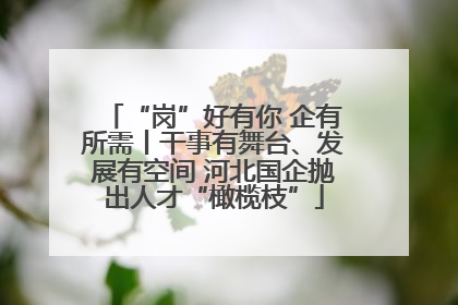 “岗”好有你 企有所需丨干事有舞台、发展有空间 河北国企抛出人才“橄榄枝”