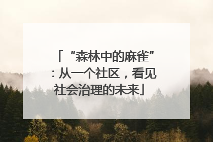 “森林中的麻雀”：从一个社区，看见社会治理的未来