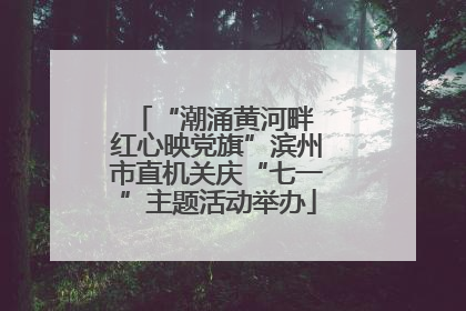 “潮涌黄河畔 红心映党旗”滨州市直机关庆“七一”主题活动举办