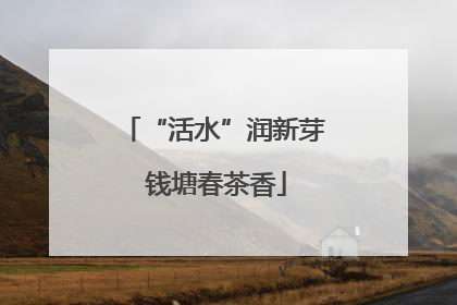 “活水”润新芽 钱塘春茶香