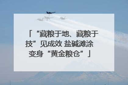 “藏粮于地、藏粮于技”见成效 盐碱滩涂变身“黄金粮仓”