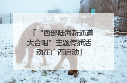 “西部陆海新通道大合唱”主题传播活动在广西启动