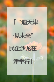 “遇天津·见未来”民企沙龙在津举行