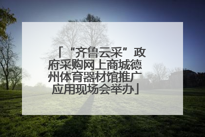 “齐鲁云采”政府采购网上商城德州体育器材馆推广应用现场会举办