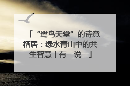 “鹭鸟天堂”的诗意栖居：绿水青山中的共生智慧丨有一说一