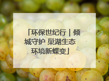 环保世纪行｜倾城守护 巢湖生态环境新蝶变