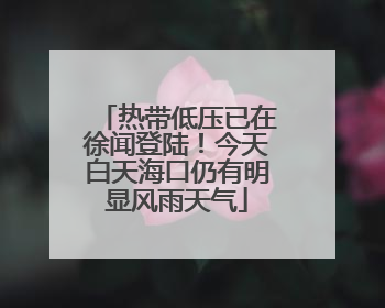 热带低压已在徐闻登陆！今天白天海口仍有明显风雨天气