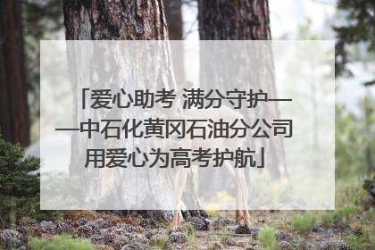 爱心助考 满分守护——中石化黄冈石油分公司用爱心为高考护航