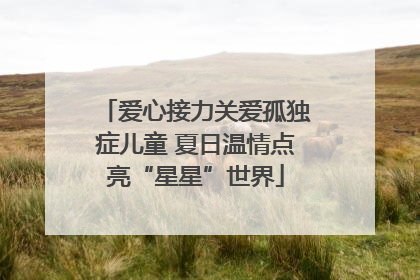 爱心接力关爱孤独症儿童 夏日温情点亮“星星”世界