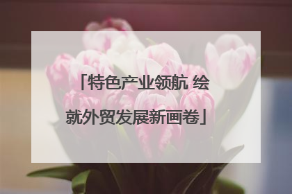 特色产业领航 绘就外贸发展新画卷