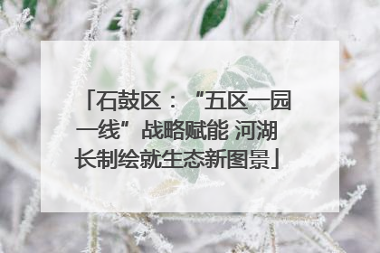 石鼓区：“五区一园一线”战略赋能 河湖长制绘就生态新图景