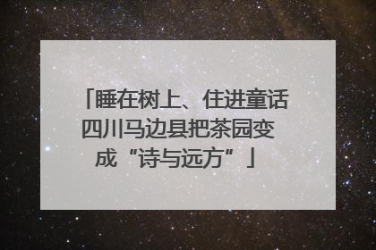 睡在树上、住进童话 四川马边县把茶园变成“诗与远方”