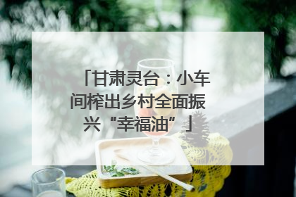 甘肃灵台：小车间榨出乡村全面振兴“幸福油”
