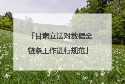 甘肃立法对数据全链条工作进行规范