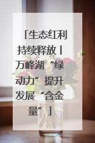 生态红利持续释放丨万峰湖“绿动力”提升发展“含金量”