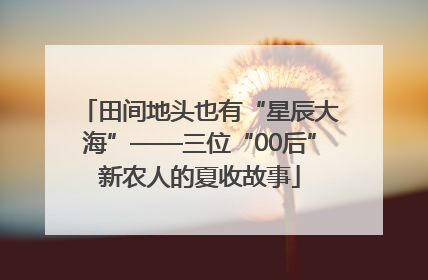 田间地头也有“星辰大海”——三位“00后”新农人的夏收故事