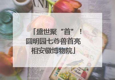 盛世聚“首”！圆明园七尊兽首亮相安徽博物院