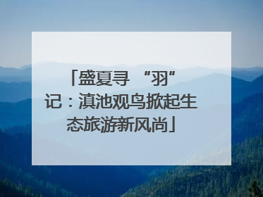 盛夏寻 “羽” 记：滇池观鸟掀起生态旅游新风尚