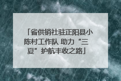 省供销社驻正阳县小陈村工作队 助力“三夏”护航丰收之路
