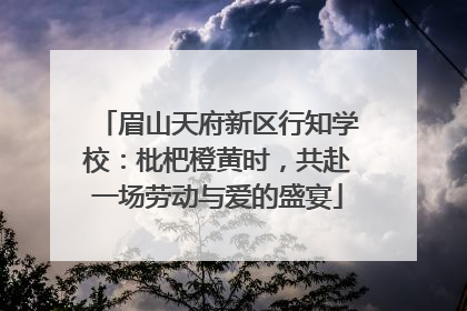 眉山天府新区行知学校：枇杷橙黄时，共赴一场劳动与爱的盛宴