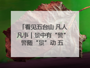 看见五台山 凡人凡事｜景中有“警” 警随“景”动 五台山景区“看得见”的平安守护