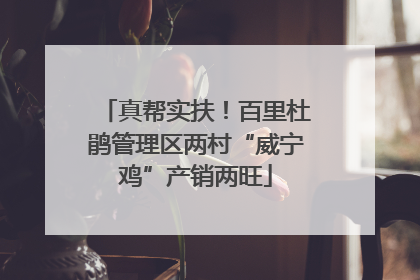 真帮实扶！百里杜鹃管理区两村“威宁鸡”产销两旺