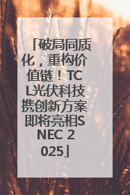 破局同质化，重构价值链！TCL光伏科技携创新方案即将亮相SNEC 2025