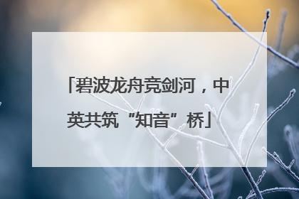 碧波龙舟竞剑河，中英共筑“知音”桥