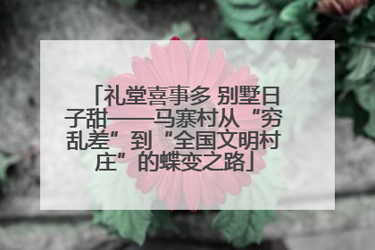 礼堂喜事多 别墅日子甜——马寨村从“穷乱差”到“全国文明村庄”的蝶变之路