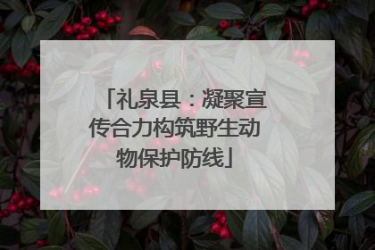 礼泉县：凝聚宣传合力构筑野生动物保护防线