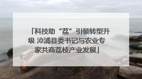 科技助“荔”引领转型升级 漳浦县委书记与农业专家共商荔枝产业发展