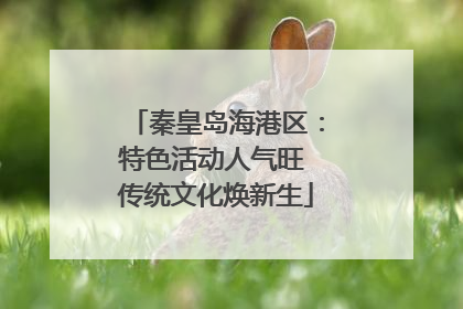 秦皇岛海港区：特色活动人气旺 传统文化焕新生