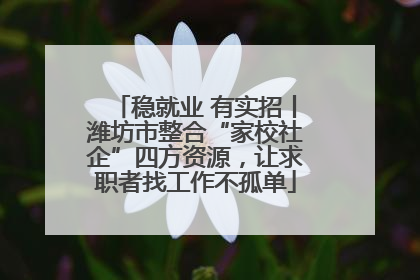 稳就业 有实招丨潍坊市整合“家校社企”四方资源，让求职者找工作不孤单